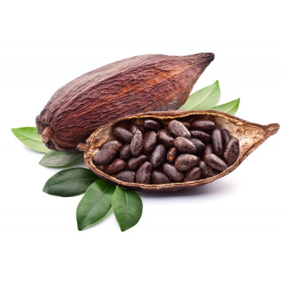 Caramelized cocoa beans
